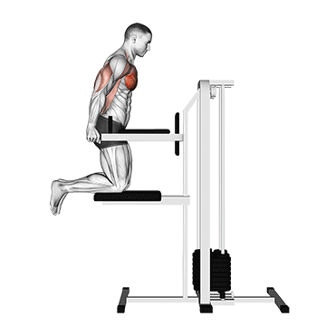 Assisted Chest Dip (kneeling) exercise animated demonstration