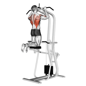 Assisted Pull-up exercise animated demonstration