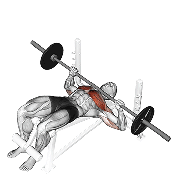 Barbell Decline Bench Press exercise animated demonstration