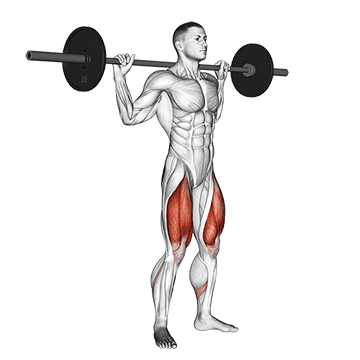 Barbell Full Squat exercise animated demonstration