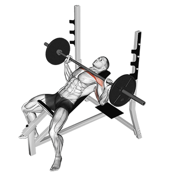 Barbell Incline Bench Press exercise animated demonstration