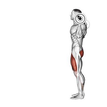 Barbell Lunge exercise animated demonstration