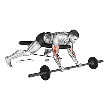 Barbell Lying Preacher Curl exercise animated demonstration