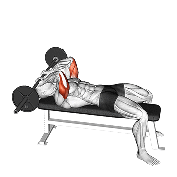 Barbell Lying Triceps Extension Skull Crusher exercise animated demonstration