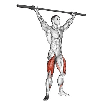 Barbell Overhead Squat exercise animated demonstration