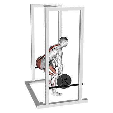 Barbell Rack Pull exercise animated demonstration