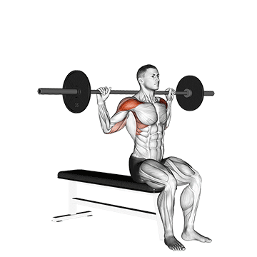 Barbell Seated Behind Head Military Press exercise animated demonstration