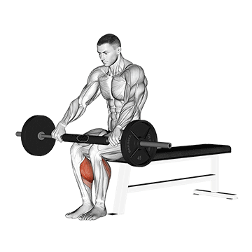 Barbell Seated Calf Raise exercise animated demonstration