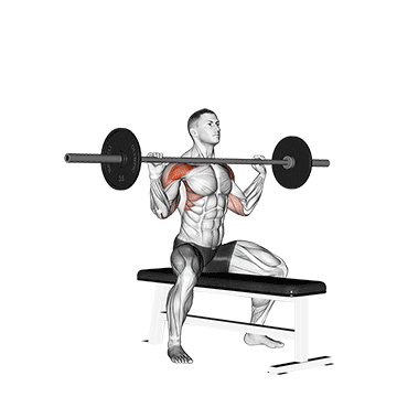 Barbell Seated Overhead Press exercise animated demonstration