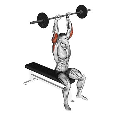 Barbell Seated Overhead Triceps Extension exercise animated demonstration