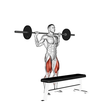 Barbell Step-up exercise animated demonstration