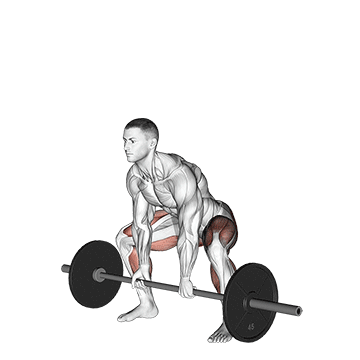Barbell Sumo Deadlift exercise animated demonstration