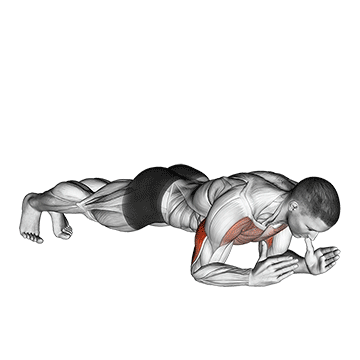 Body-up exercise animated demonstration