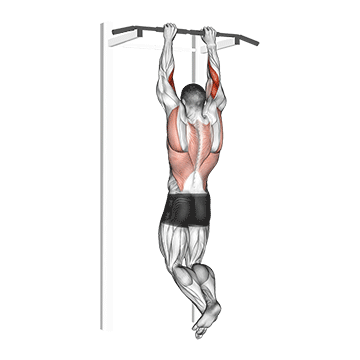 Biceps Pull-up exercise animated demonstration