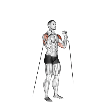 Cable Alternate Shoulder Press exercise animated demonstration