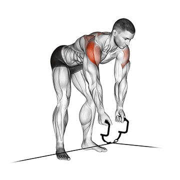 Cable Cross-over Reverse Fly exercise animated demonstration