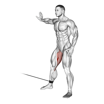 Cable Hip Adduction