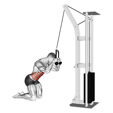 Cable Kneeling Crunch exercise animated demonstration