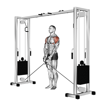 Cable Lateral Raise exercise animated demonstration