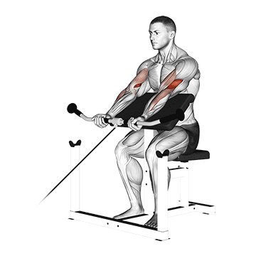 Cable Preacher Curl exercise animated demonstration