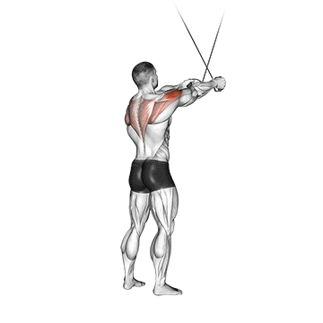 Cable Standing Cross-over High Reverse Fly exercise animated demonstration