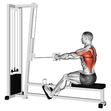 Cable Straight Back Seated Row exercise animated demonstration
