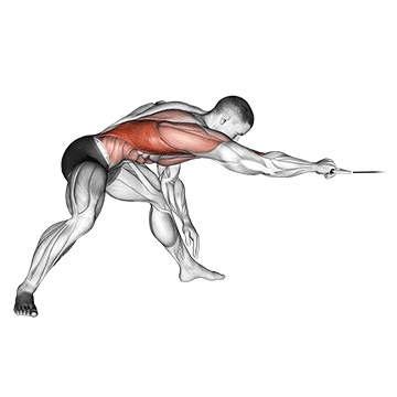 Cable Twisting Pull exercise animated demonstration