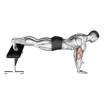 Decline Push-up exercise animated demonstration