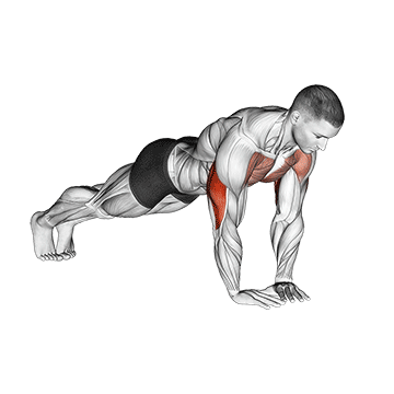 Diamond Push-up exercise animated demonstration