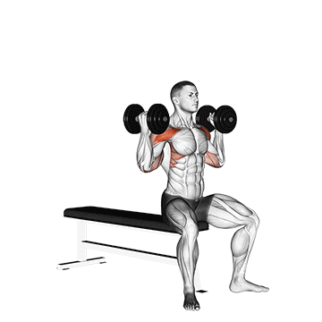 Dumbbell Arnold Press V. 2 exercise animated demonstration