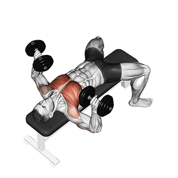 Dumbbell Bench Press exercise animated demonstration