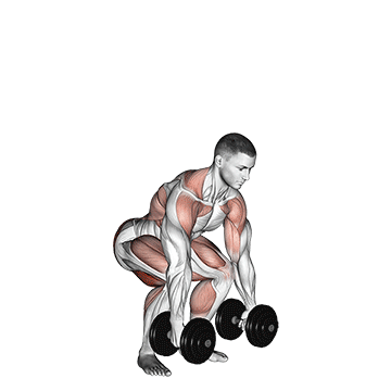 Dumbbell Clean exercise animated demonstration