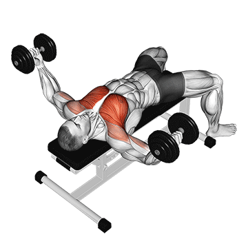 Dumbbell Fly exercise animated demonstration
