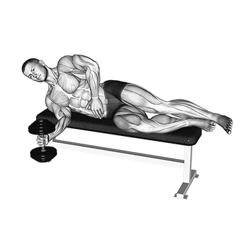 Dumbbell Lying Supination exercise animated demonstration