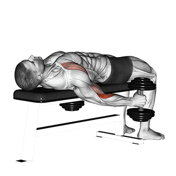 Dumbbell Lying Supine Curl exercise animated demonstration