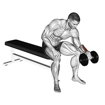 Dumbbell One Arm Reverse Wrist Curl exercise animated demonstration