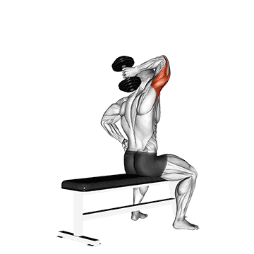 Dumbbell One Arm Triceps Extension (on Bench)