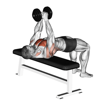 Dumbbell Pullover exercise animated demonstration