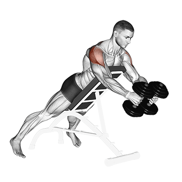 Dumbbell Reverse Fly exercise animated demonstration