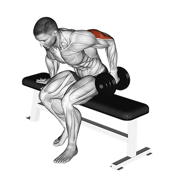 Dumbbell Seated One Arm Kickback exercise animated demonstration