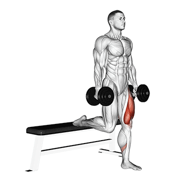 Dumbbell Single Leg Split Squat exercise animated demonstration