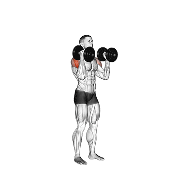 Dumbbell W-press exercise animated demonstration