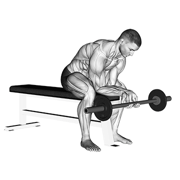 Finger Curls exercise animated demonstration