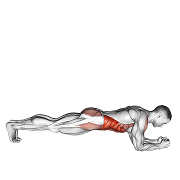 Front Plank With Twist exercise animated demonstration