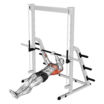 Inverted Row exercise animated demonstration