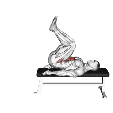 Leg Pull In Flat Bench exercise animated demonstration