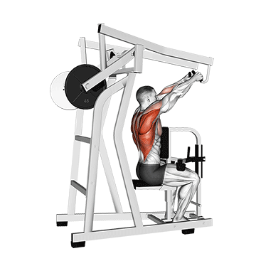 Lever High Row exercise animated demonstration