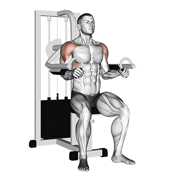 Lever Lateral Raise exercise animated demonstration