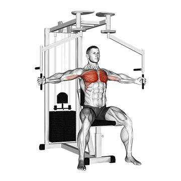 Lever Seated Fly exercise animated demonstration