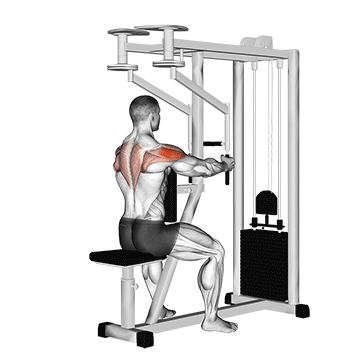 Lever Seated Reverse Fly (parallel Grip) exercise animated demonstration